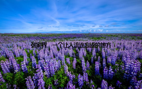 张家界, 一个让人流连忘返的地方