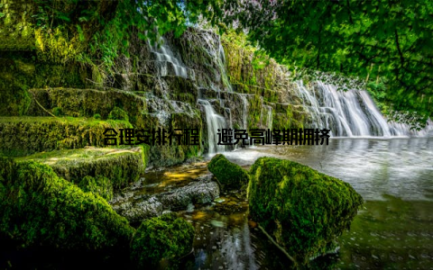 合理安排行程, 避免高峰期拥挤