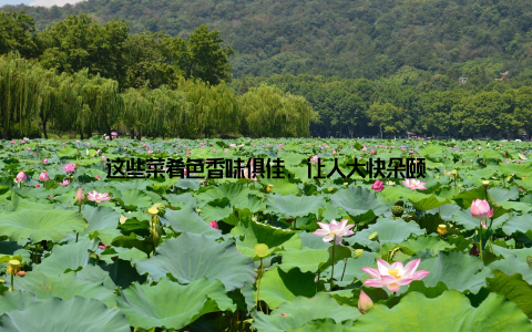 这些菜肴色香味俱佳, 让人大快朵颐