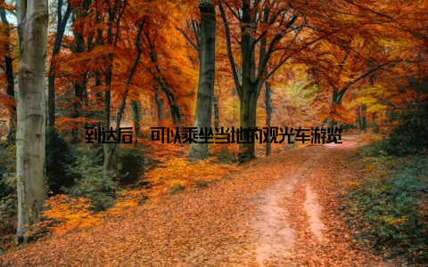 到达后, 可以乘坐当地的观光车游览