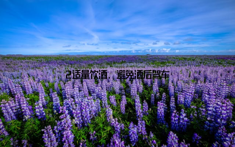 2适量饮酒, 避免酒后驾车