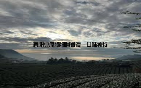 襄阳豆腐脑细腻嫩滑, 口味独特