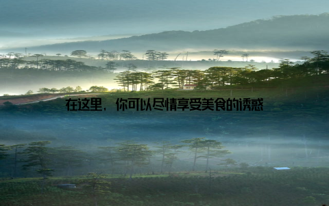 在这里, 你可以尽情享受美食的诱惑