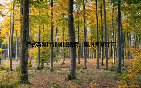 港式茶餐厅如凤城酒家、美心西餐厅等