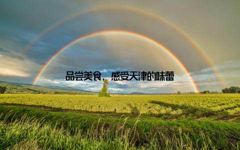 品尝美食, 感受天津的味蕾