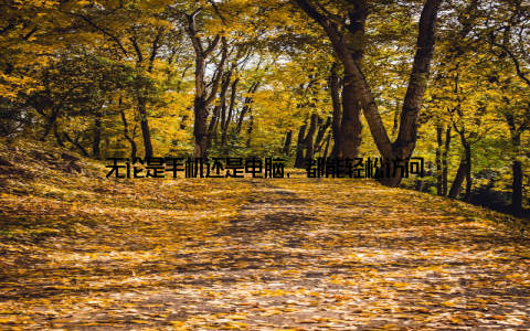 无论是手机还是电脑, 都能轻松访问