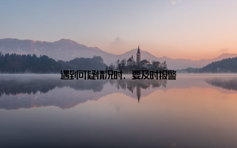 遇到可疑情况时, 要及时报警