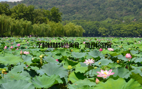 – 了解桂林特色美食, 推荐给游客