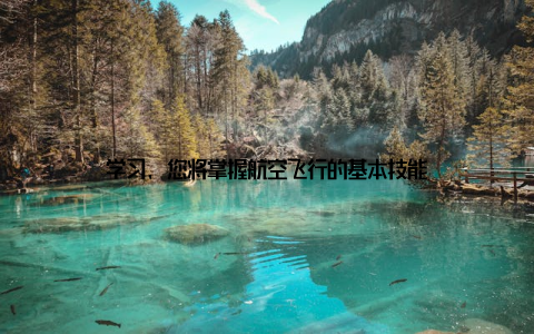 学习, 您将掌握航空飞行的基本技能