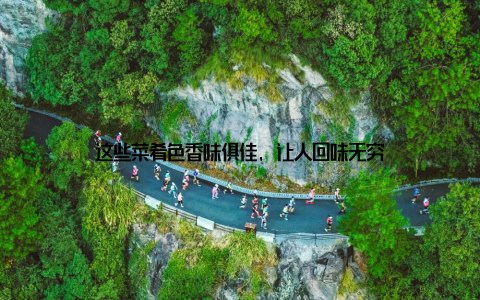 这些菜肴色香味俱佳, 让人回味无穷