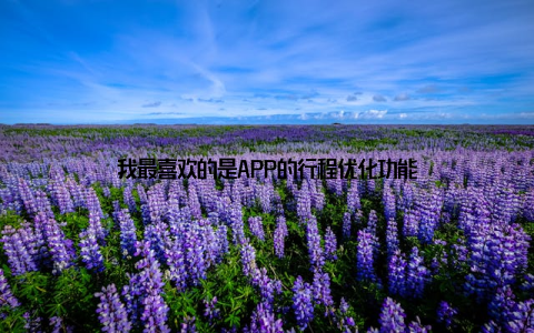 我最喜欢的是APP的行程优化功能