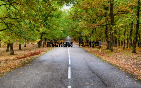 土家族吊脚楼, 独具特色