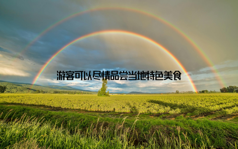 游客可以尽情品尝当地特色美食