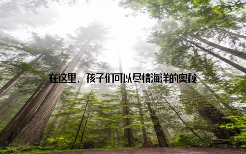 在这里, 孩子们可以尽情海洋的奥秘