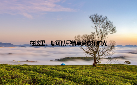 在这里, 您可以尽情享受欢乐时光