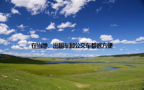 在当地, 出租车和公交车都很方便