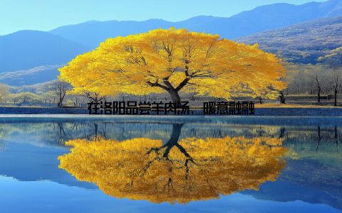 在洛阳品尝羊肉汤, 暖意融融