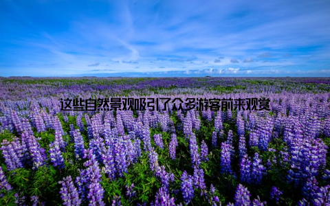 这些自然景观吸引了众多游客前来观赏