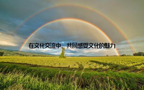 在文化交流中, 共同感受文化的魅力