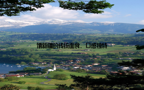 馕新疆的传统面食, 口感独特