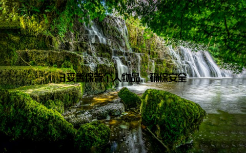 3妥善保管个人物品, 确保安全