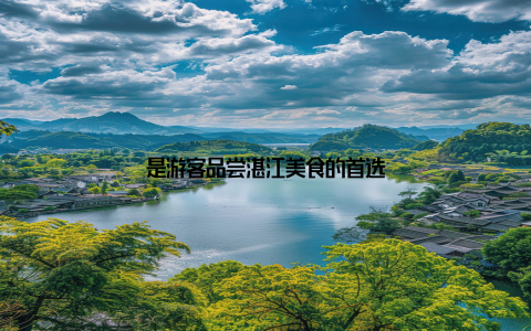 是游客品尝湛江美食的首选