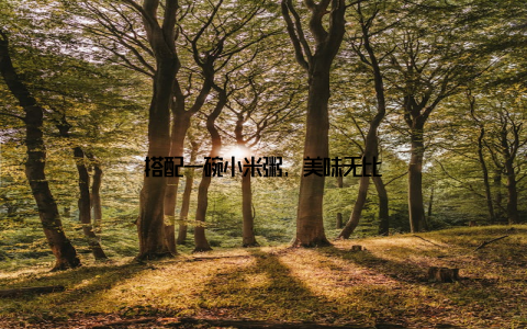 搭配一碗小米粥, 美味无比